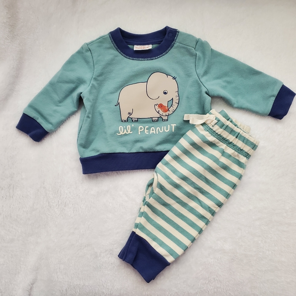 Lil peanut 🥜 Cat & Jack Sweatshirt & Buttoms Set